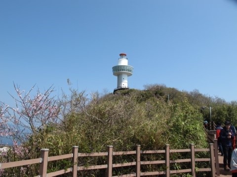 아침바다펜션 PC 이미지 730291