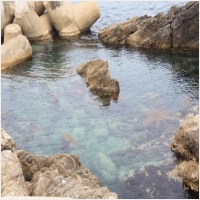 아침바다펜션 PC 갤러리 5