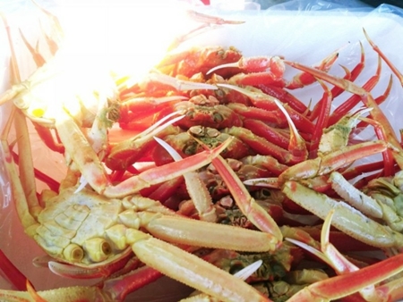 아침바다펜션 PC 이미지 1714210