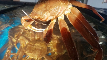 아침바다펜션 PC 이미지 1714218