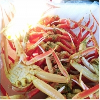 아침바다펜션 PC 갤러리 15