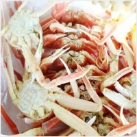 아침바다펜션 PC 갤러리 14