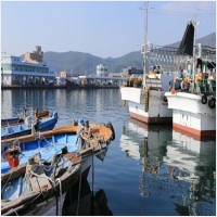 아침바다펜션 PC 갤러리 11