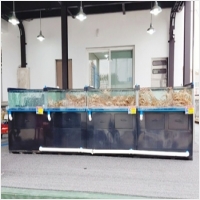 아침바다펜션 PC 갤러리 8