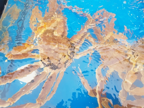 아침바다펜션 PC 이미지 1714870