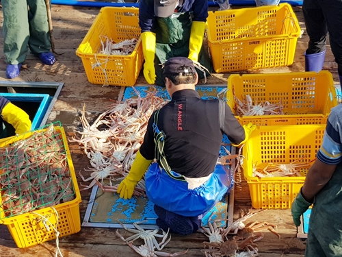 아침바다펜션 PC 이미지 1714871