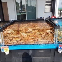 아침바다펜션 PC 갤러리 1