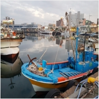 아침바다펜션 PC 갤러리 19