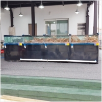 아침바다펜션 PC 갤러리 18