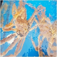 아침바다펜션 PC 갤러리 16